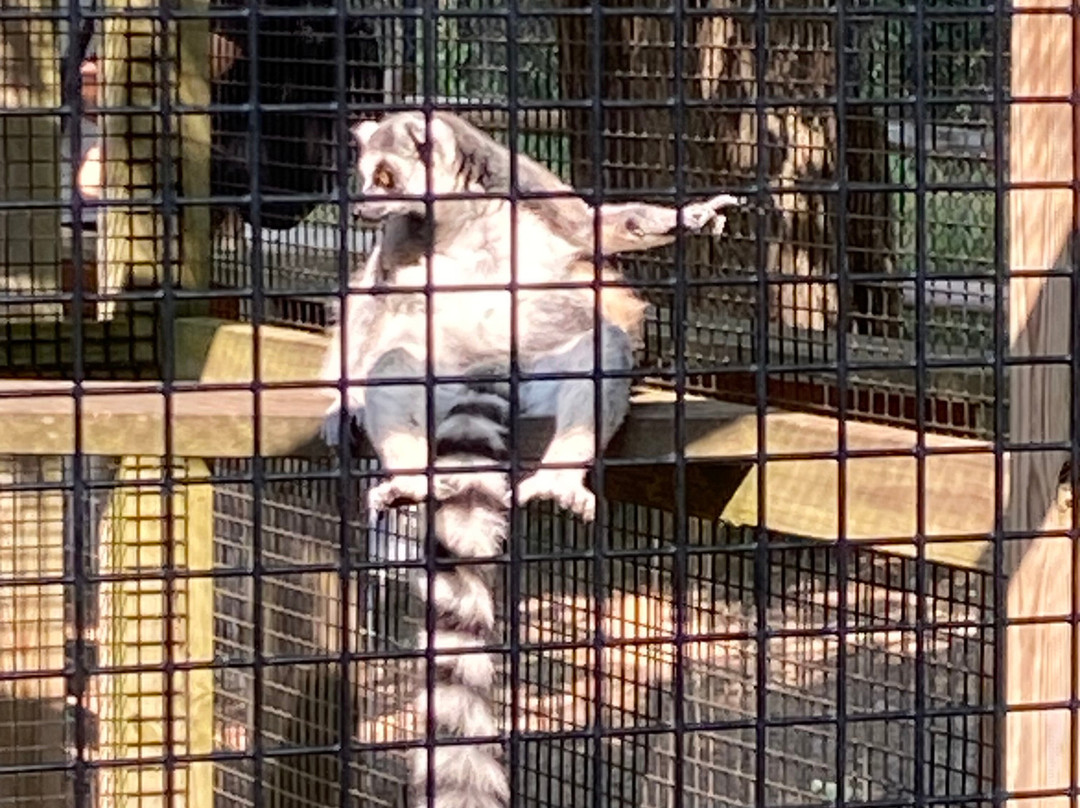 Wildwood Wildlife Park & Nature Center-Minocqua必去景点