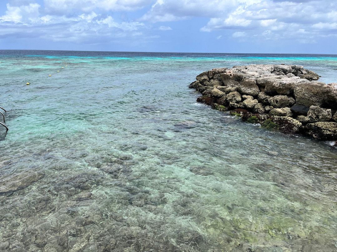 De Palm Island-阿鲁巴岛必去景点