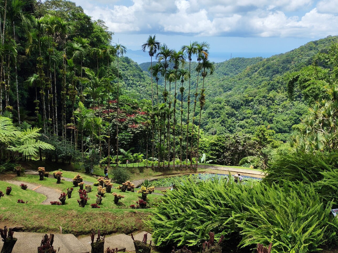 Jardin de Balata-法兰西堡必去景点