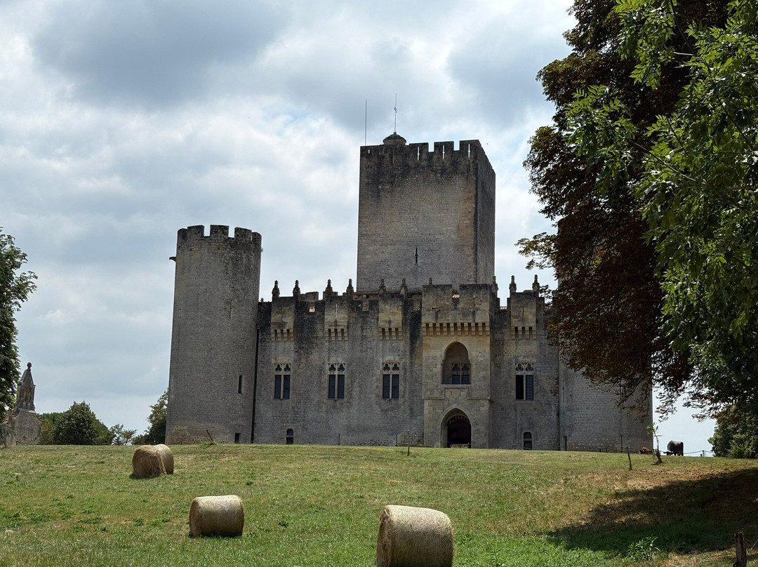 Chateau de Roquetaillade-Mazeres必去景点