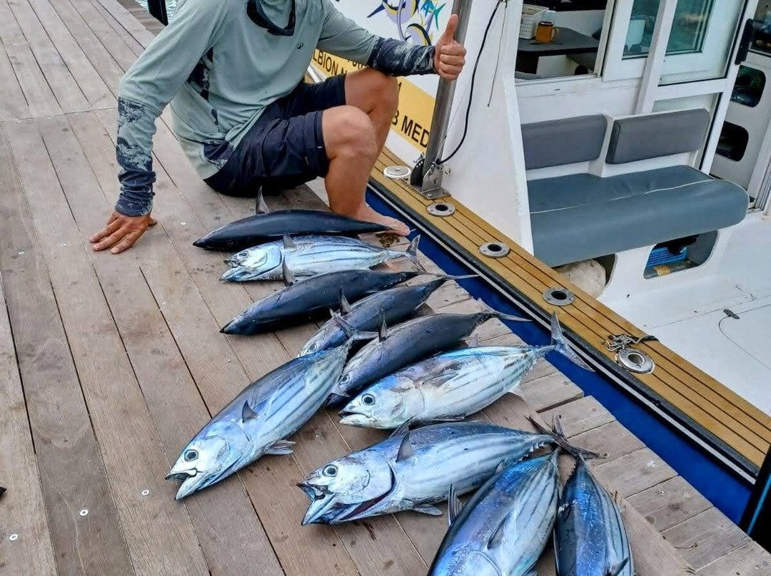 Le Trio Fishing-阿尔比恩必去景点