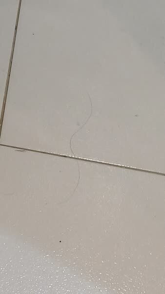 欧尔茂拉迪斯凯尼酒店主图