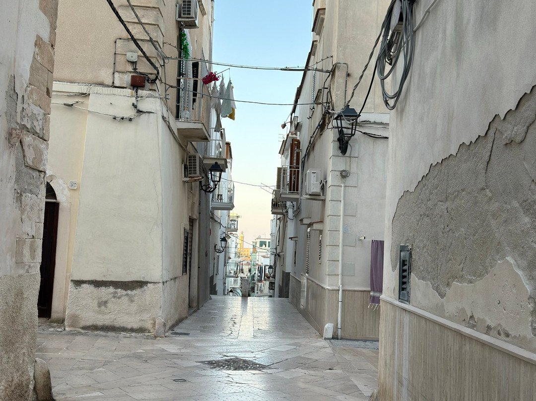 Faro di Vieste-维耶斯泰必去景点