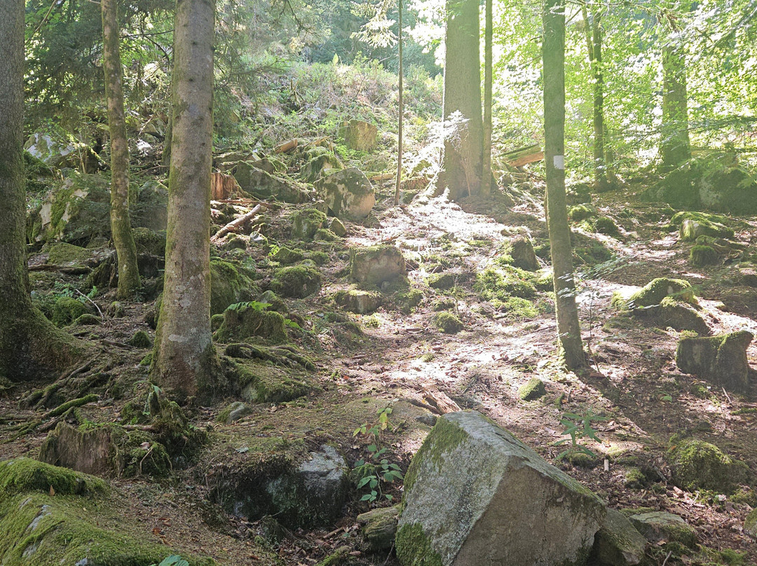 Lac de Gérardmer-热拉尔德梅必去景点