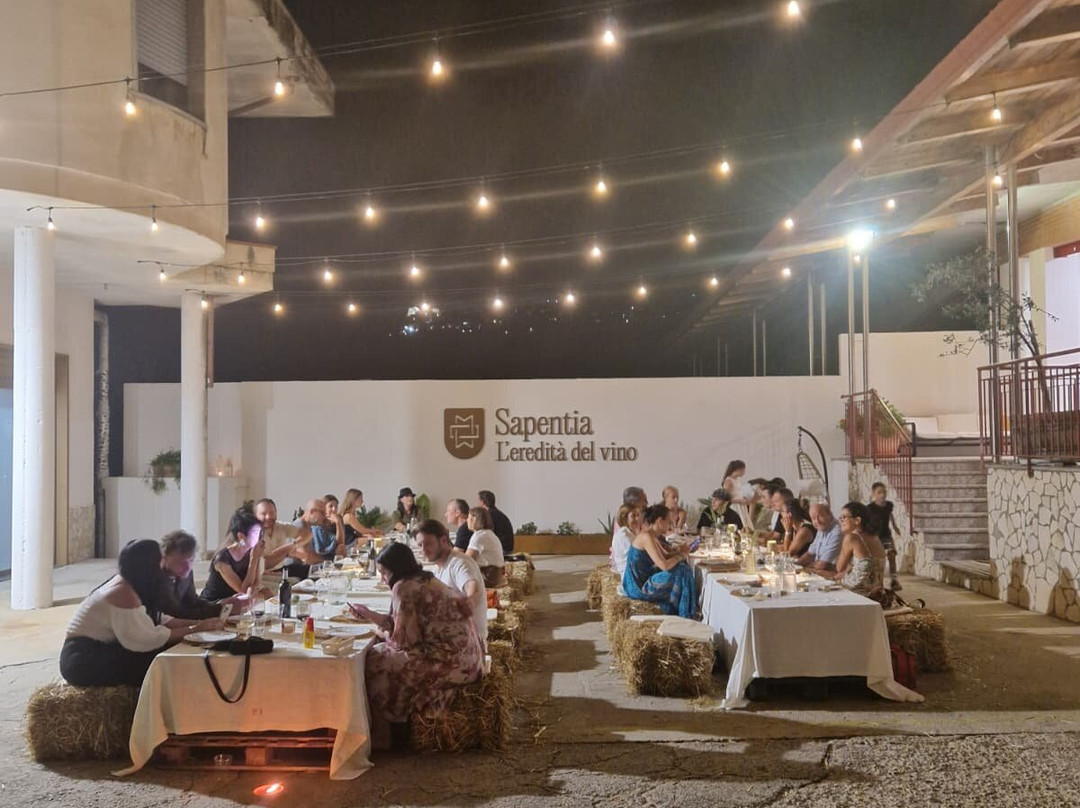 Sapentia Wine - L'Eredità del Vino-Guardia Sanframondi必去景点