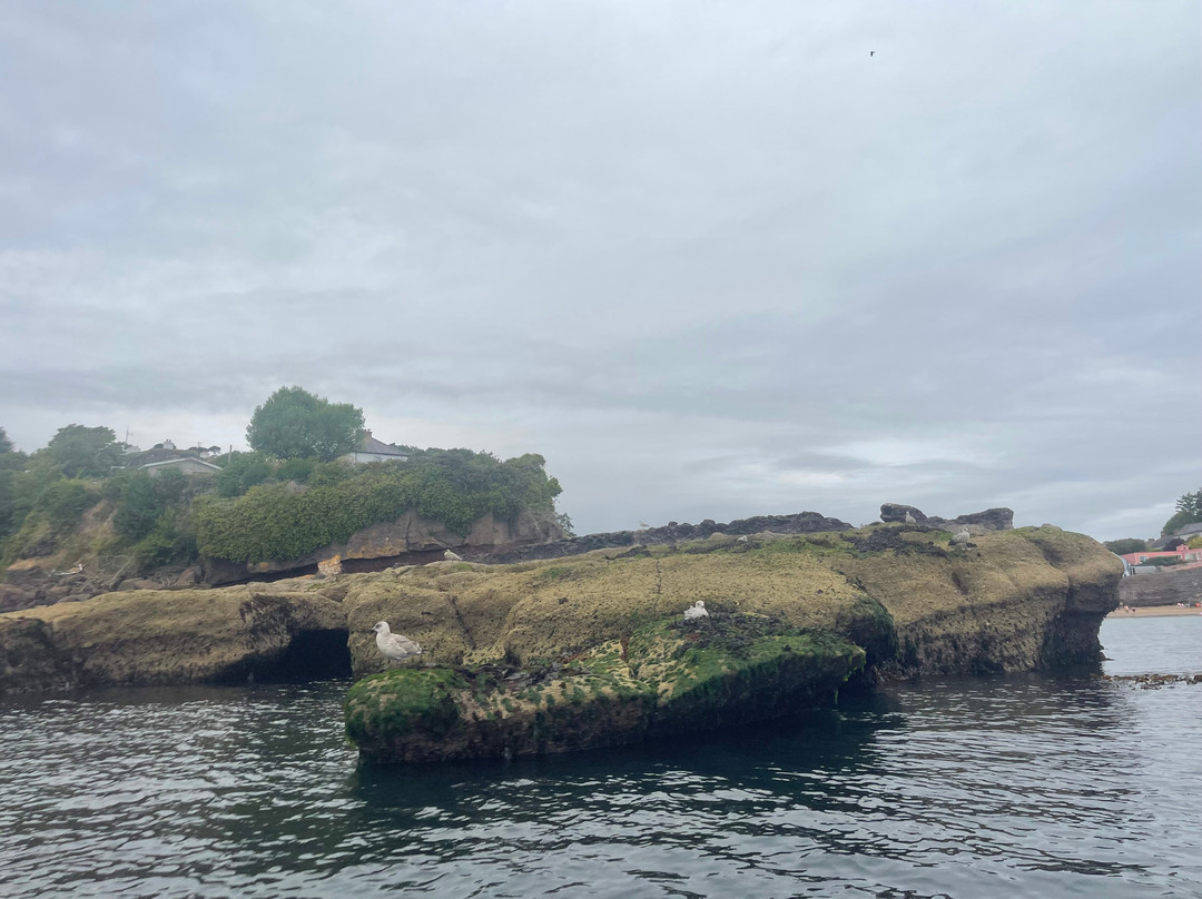 Dunmore Adventure-Dunmore East必去景点