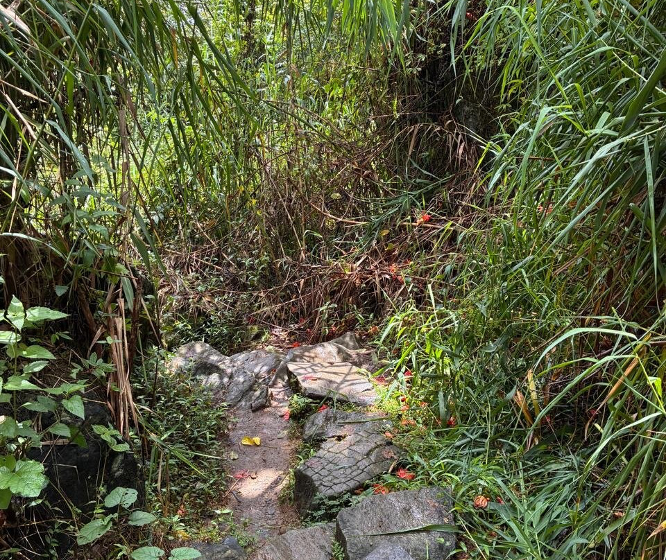 Ramboda Waterfall-普沙拉瓦必去景点
