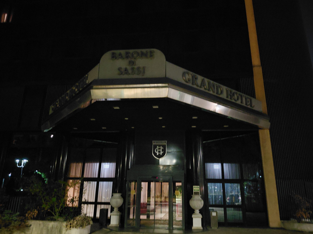 巴洛尼迪萨西大酒店