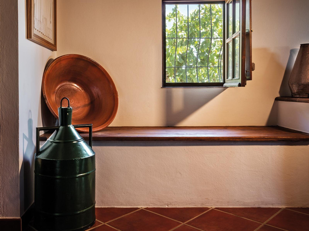 Herdade Grande-Vidigueira必去景点