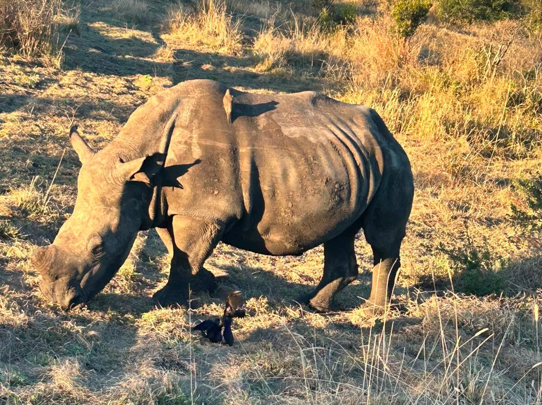 Umkumbe Safari Lodge主图