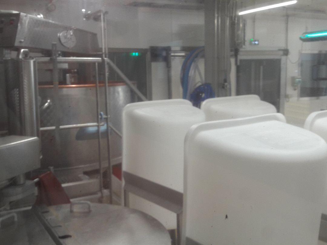 La Maison du Fromage - Vallee de Munster-Gunsbach必去景点