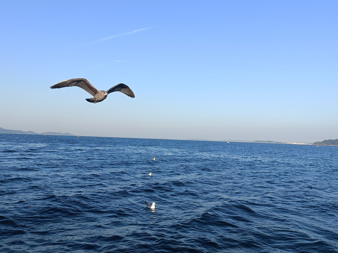 Pesca Turismo Campelo Combarro-Combarro必去景点