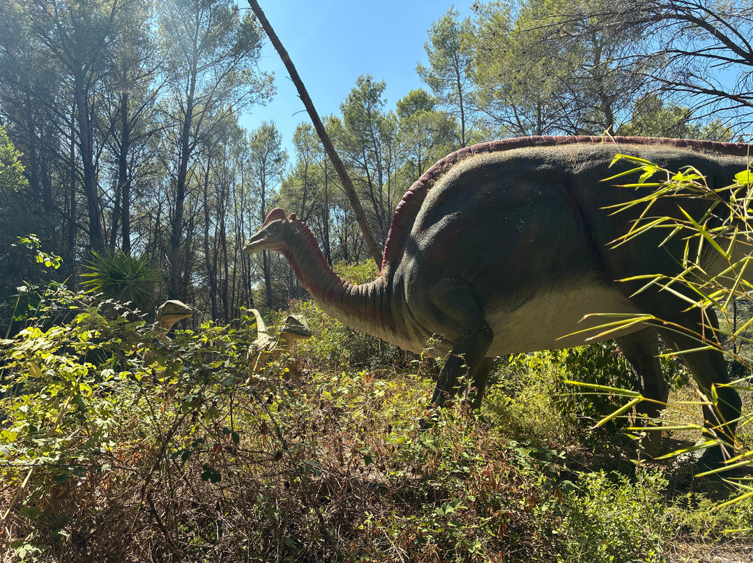Musee - Parc des Dinosaures-Meze必去景点