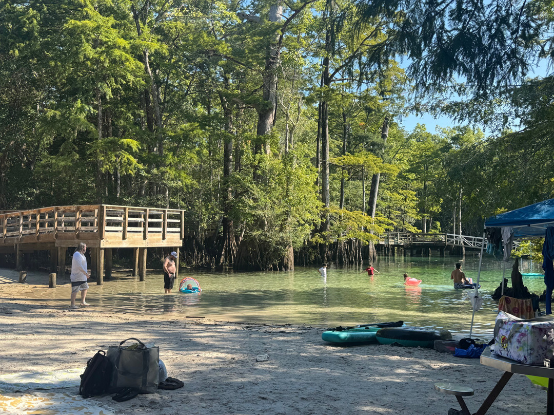 Morrison Springs County Park-佛罗里达必去景点