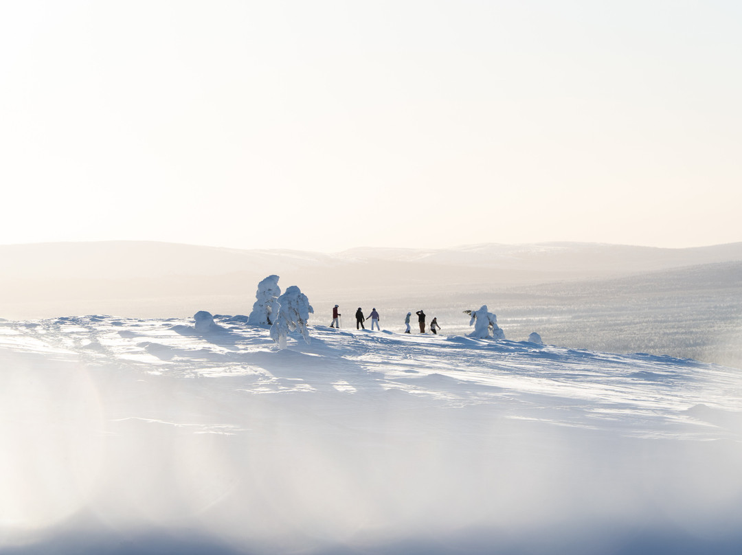 Holiday in Lapland Ltd.