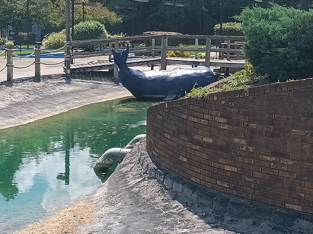 Putt-Putt Golf & Games-诺克斯维尔必去景点
