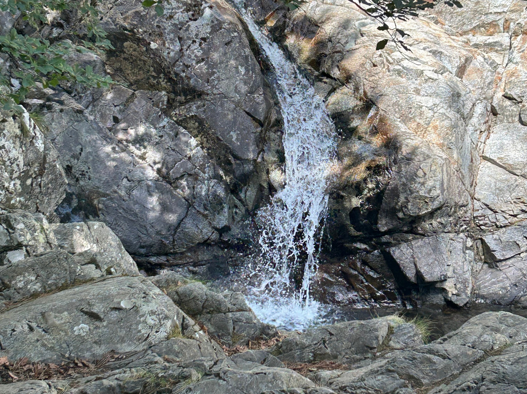 Cascades des Anglais-Vivario必去景点