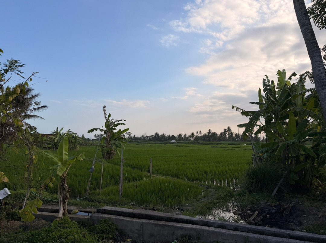 Happy Local adventure-Medahan必去景点