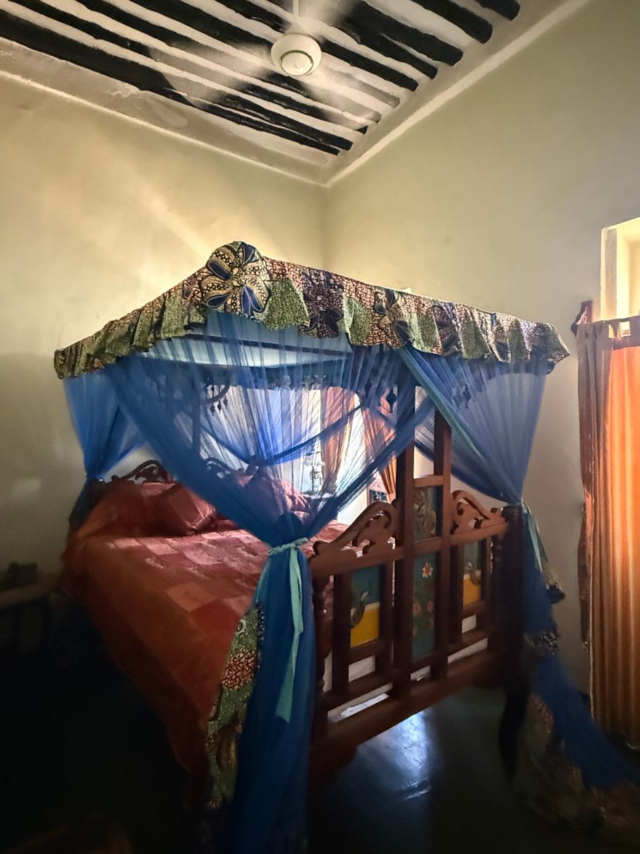 桑兹巴尔皇宫酒店-旅行者