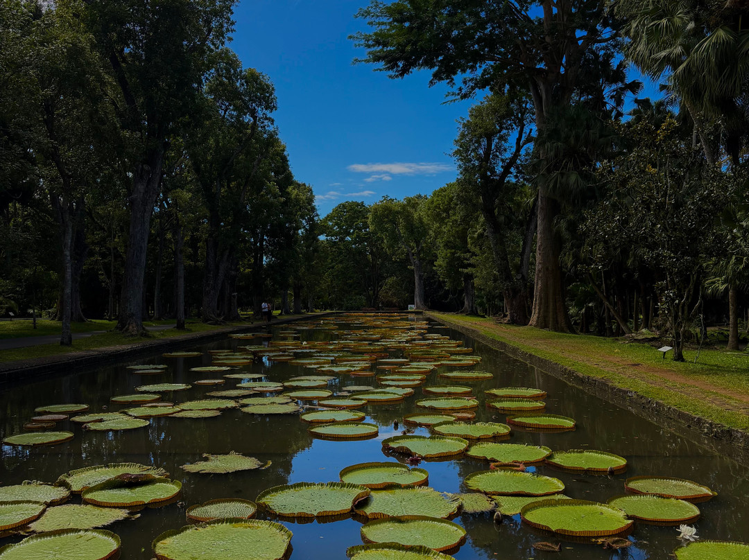 Paradisio Excursions Ile Maurice-大湾必去景点