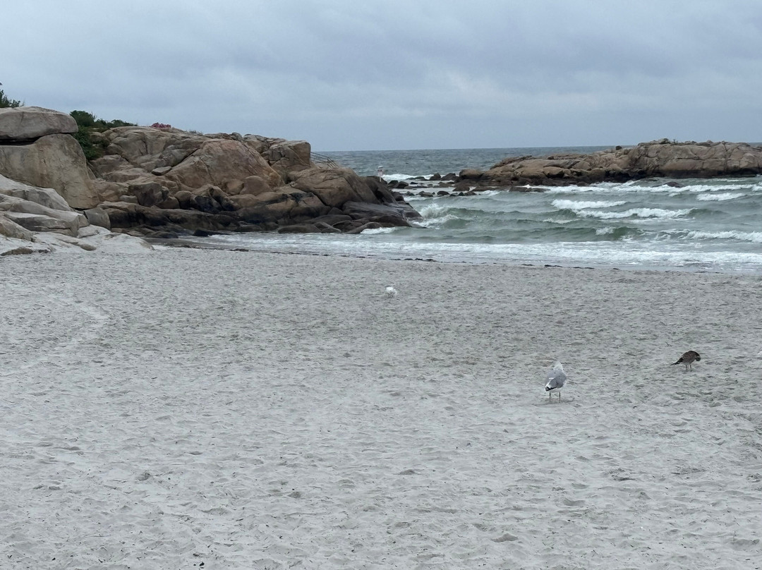 Wingaersheek Beach-格洛斯特必去景点