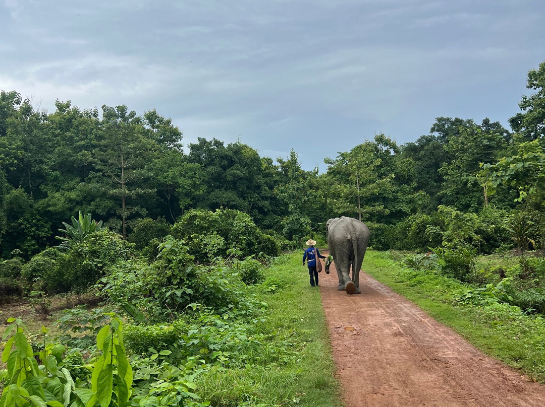 Boon Lott's Elephant Sanctuary-素可泰必去景点
