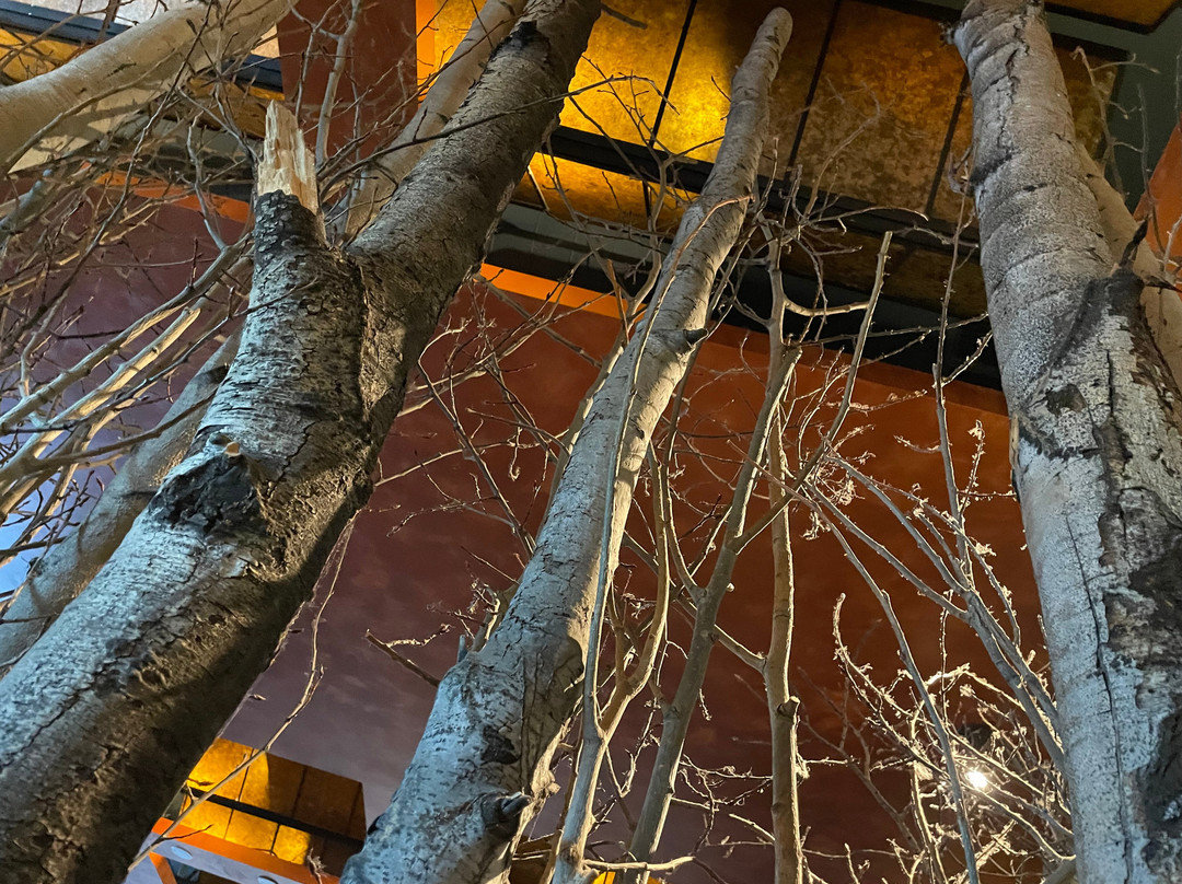 Saffron Indian Restaurant