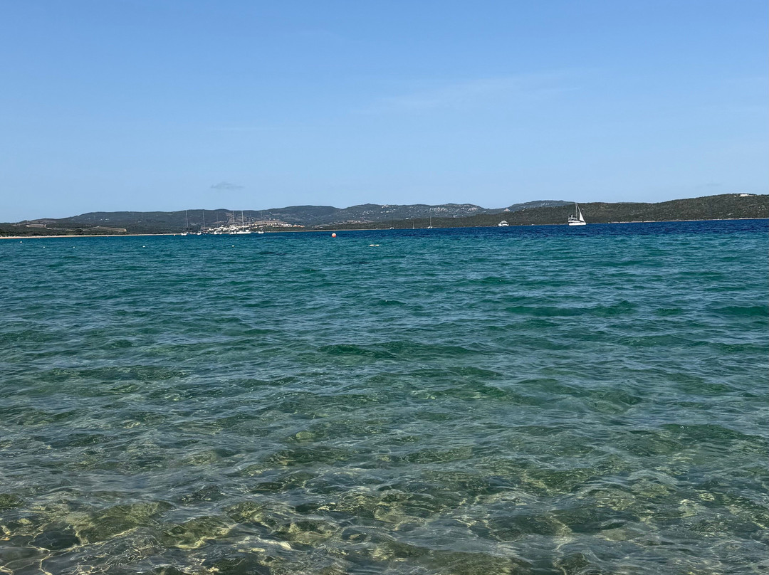 Spiaggia dell'Isola dei Gabbiani (Isuledda)-帕劳必去景点