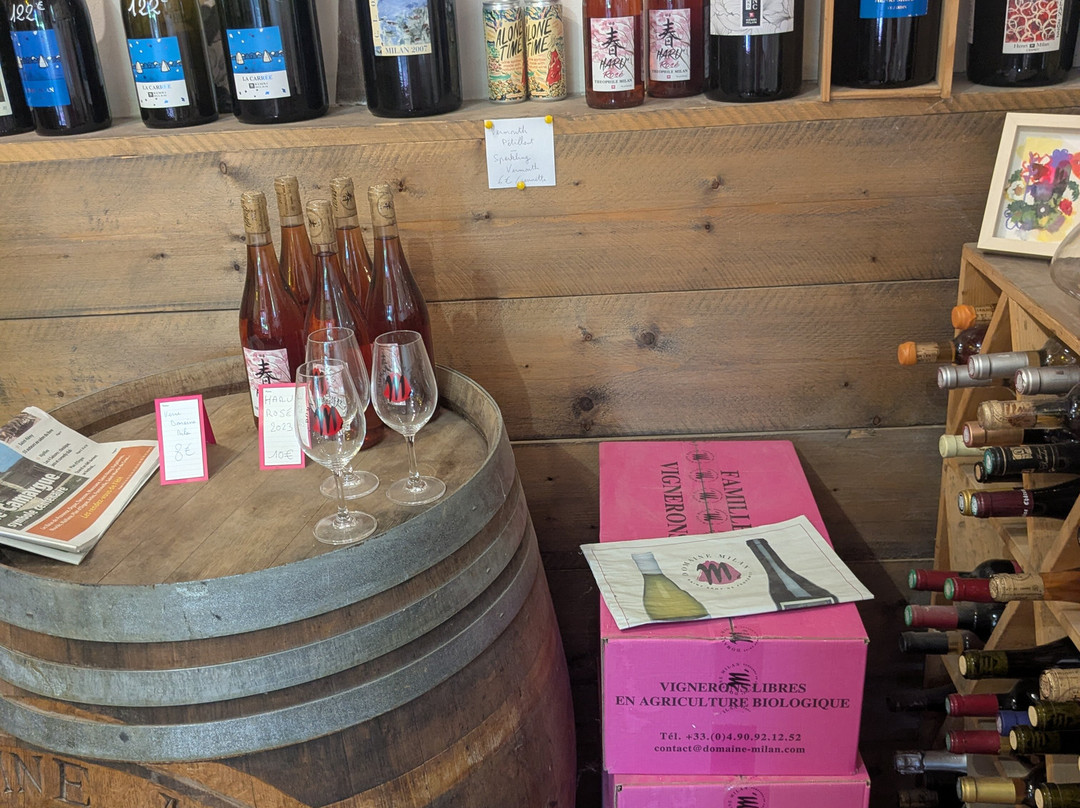 Domaine Henri Milan-圣雷米必去景点