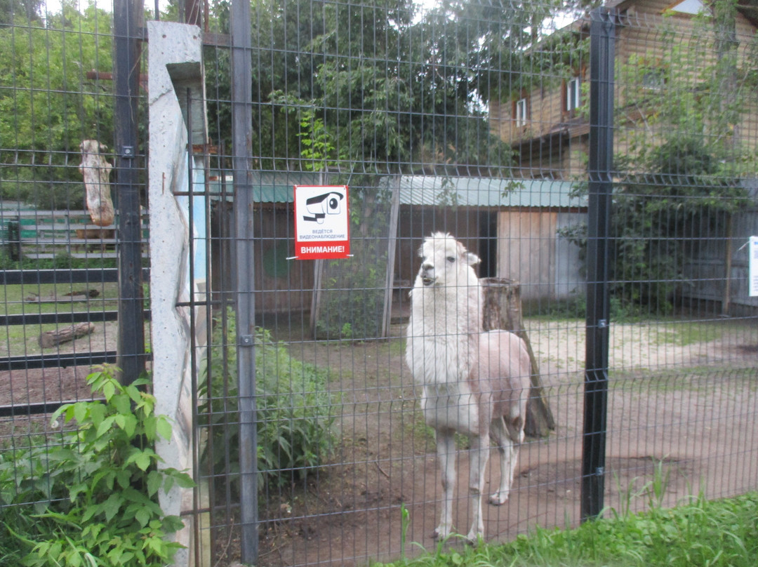 Chelyabinsk Zoo-车里雅宾斯克必去景点