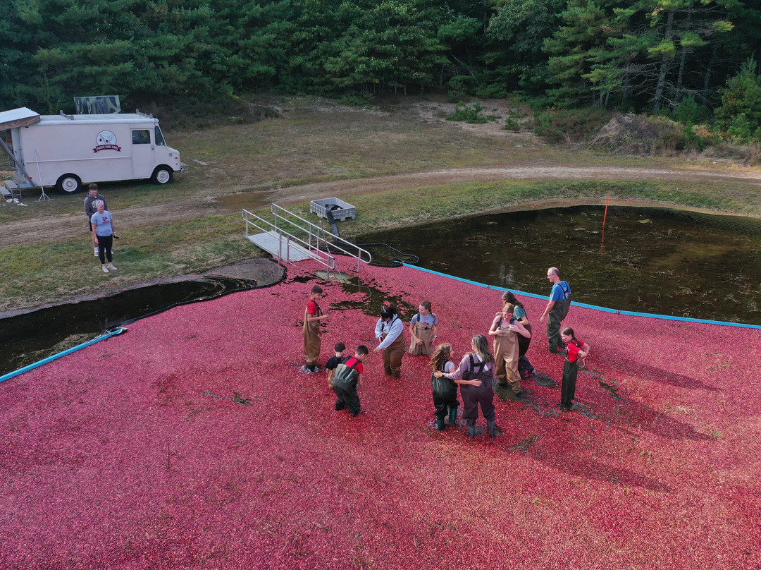 Hartley Family Farm Cranberry Bog Tours-Rochester必去景点