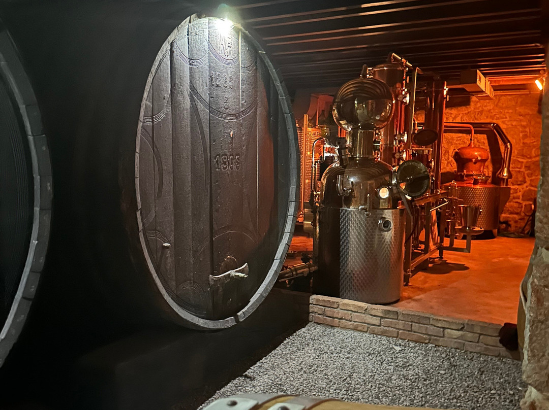 Aura Distillery-Buzet必去景点