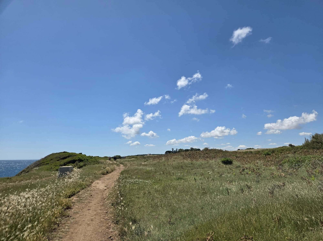 Parco Naturale Regionale Costa Otranto - Santa Maria di Leuca e Bosco di Tricase-Gagliano del Capo必去景点