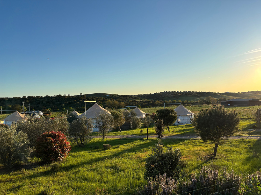 Glamping Skies
