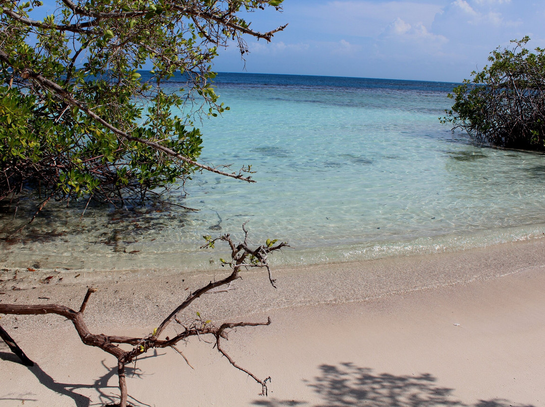Playa Mero-Morrocoy National Park必去景点