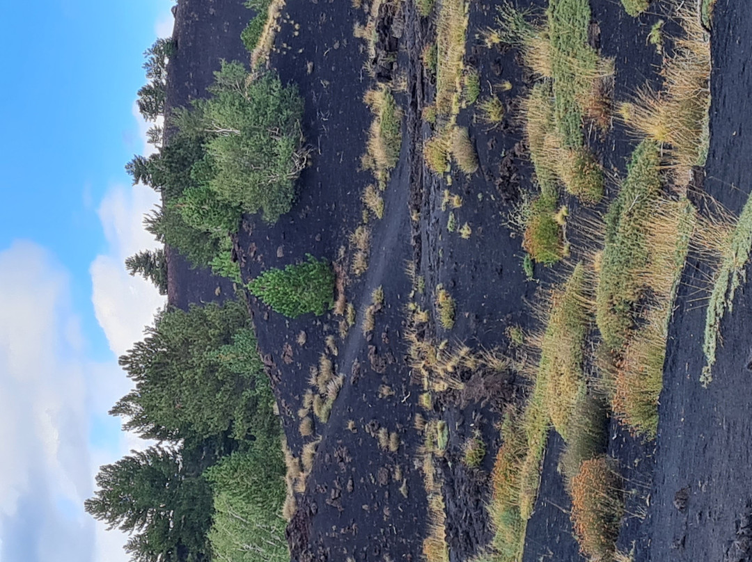 Etna Mareneve Escursioni-Riposto必去景点
