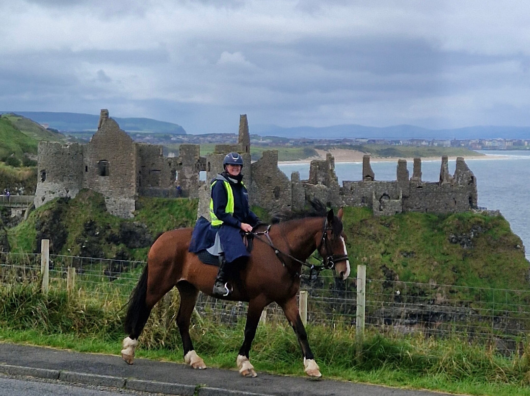 Bespoke Equestrian Ireland-都柏林必去景点