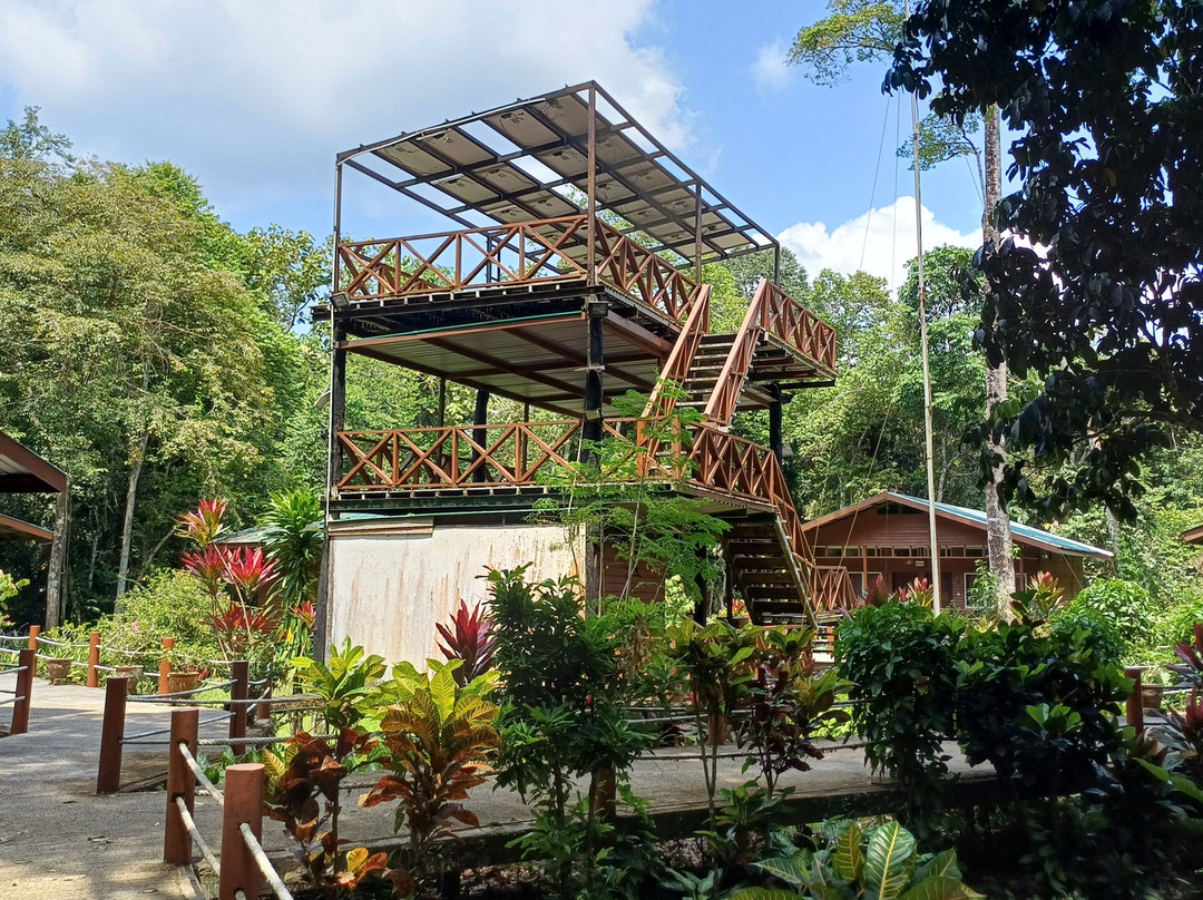 BORNEO NATURE LODGE-苏高必去景点