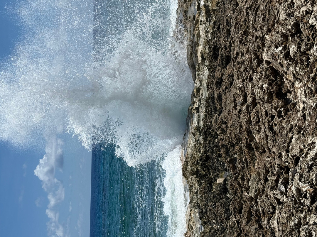 Blow Holes-大开曼岛必去景点