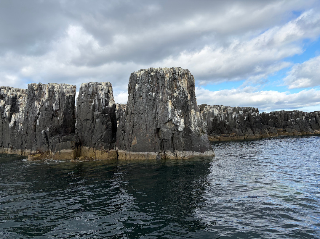 Serenity Farne Island Boat Tours-Seahouses必去景点