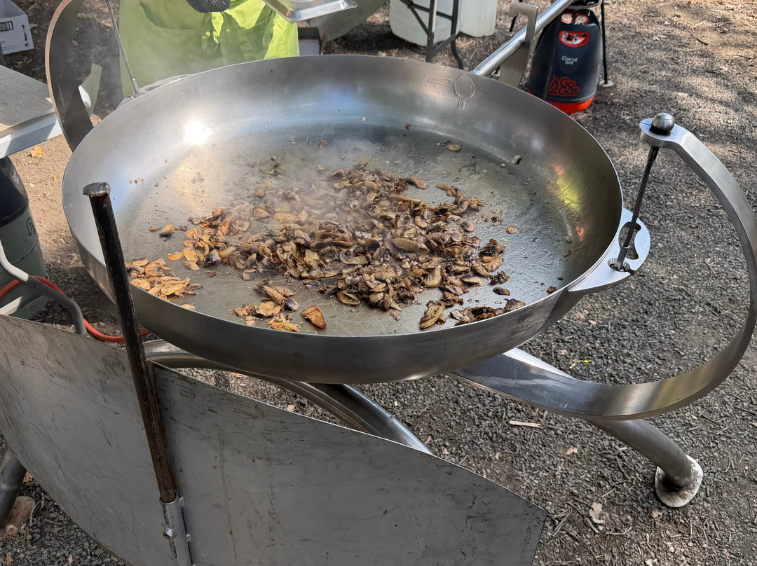 Truffle Hunting-卡兰巴卡必去景点