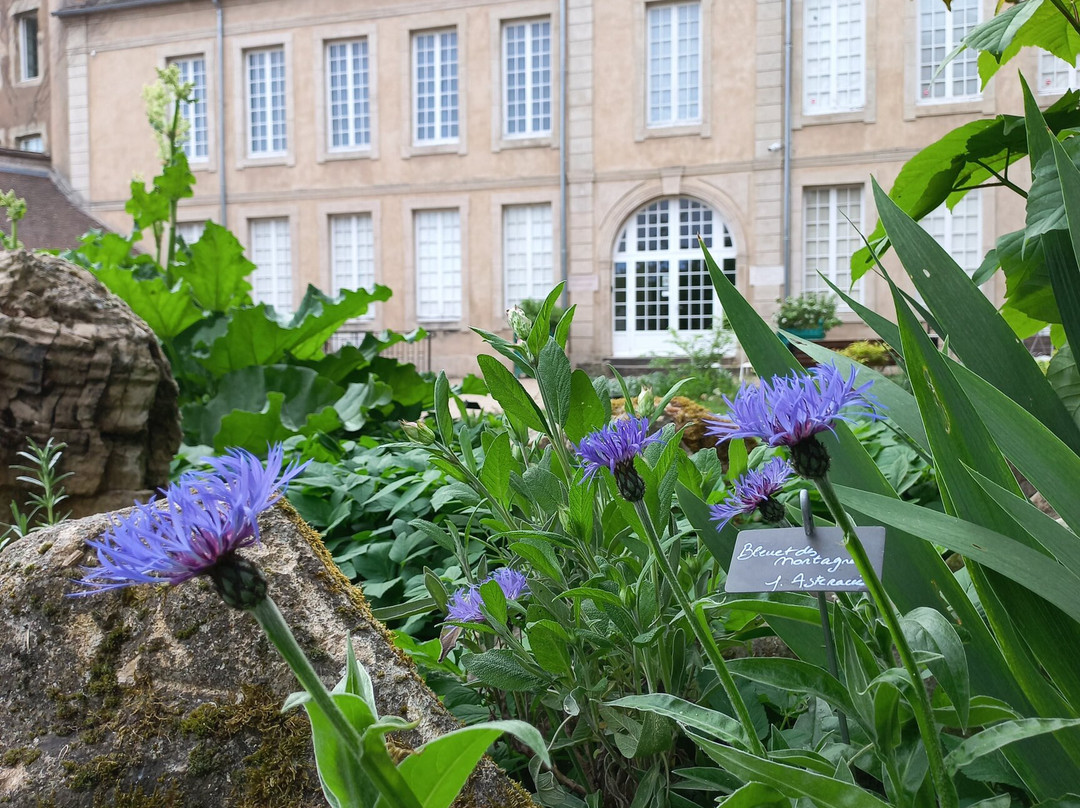Autun Natural History Museum Jacques de La Comble-Autun必去景点