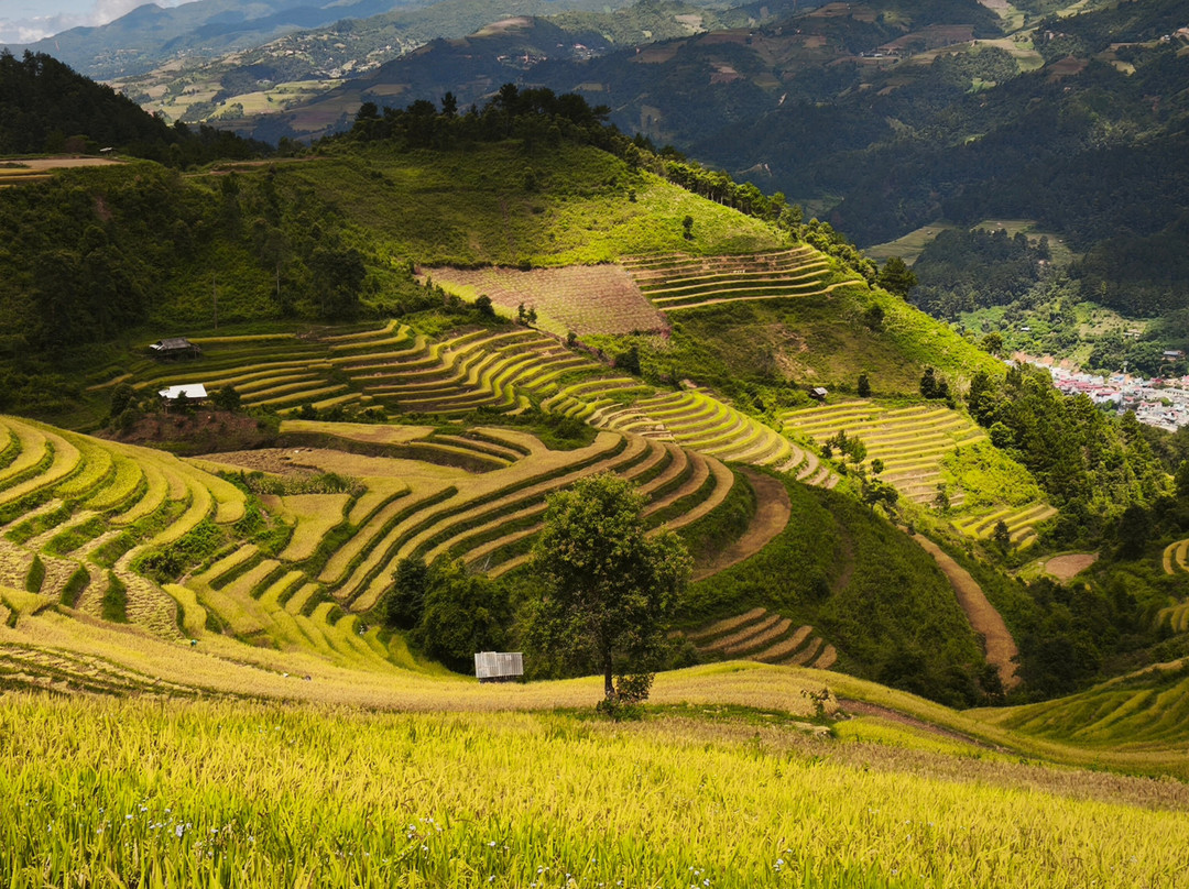 Mu Cang Chai-Yen Bai必去景点