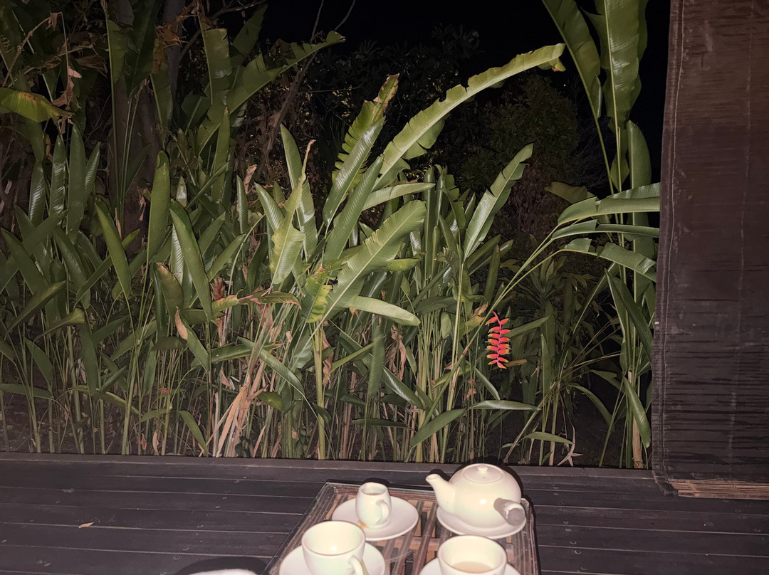 The Damai Luxury Spa-罗威那海滩必去景点