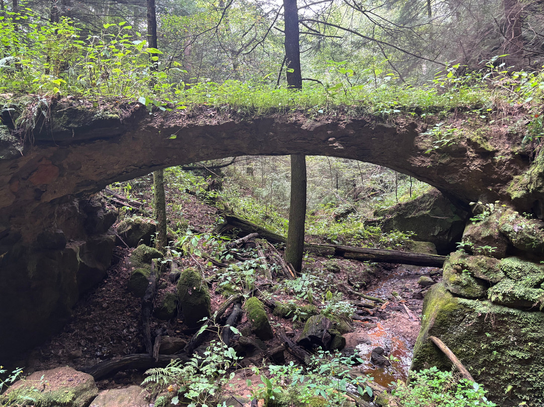 Hocking Hills State Park-洛根必去景点