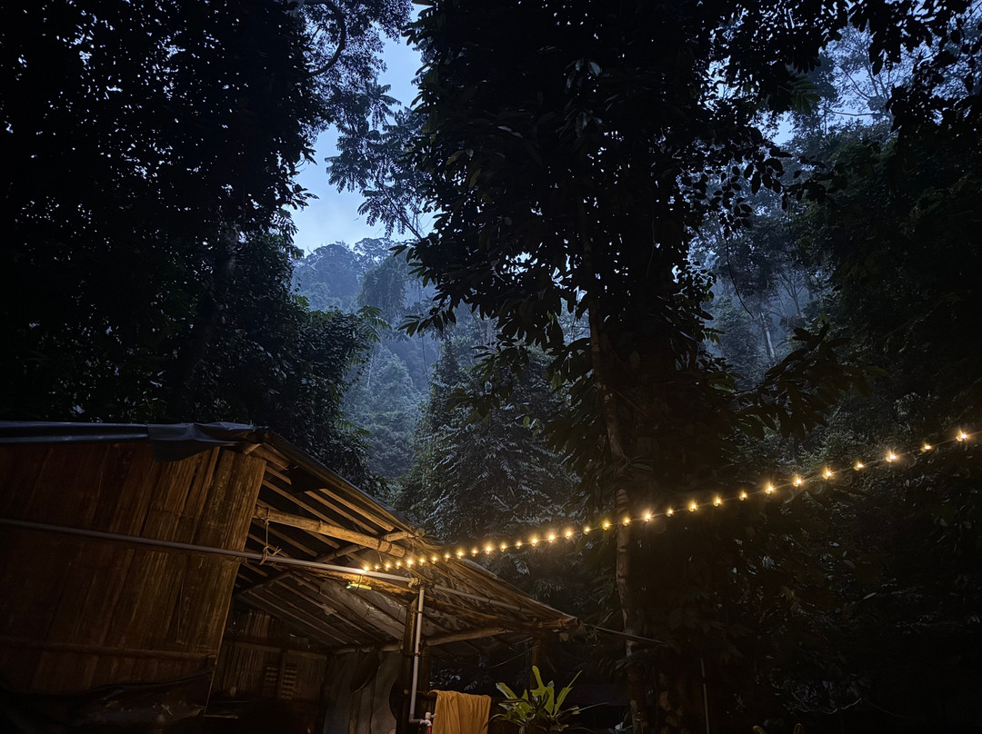 Ethical Trekking Sumatra-武吉拉旺必去景点