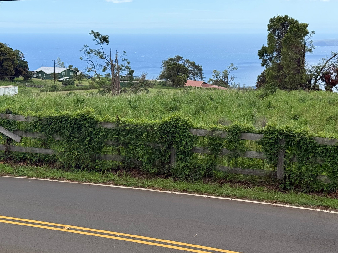 MauiWine-库拉必去景点