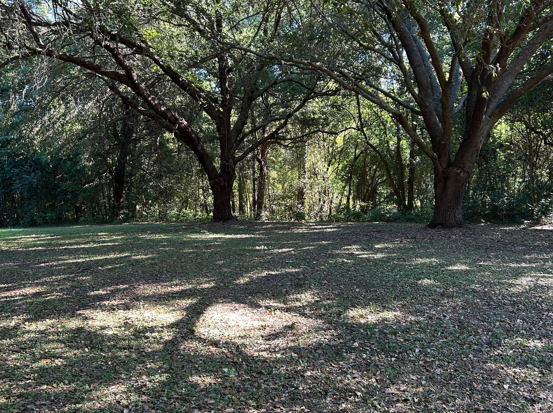 Eutaw Springs Battlefield Park-Eutawville必去景点