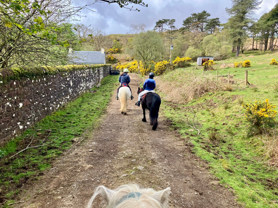 Mull Pony Trekking-马尔岛必去景点