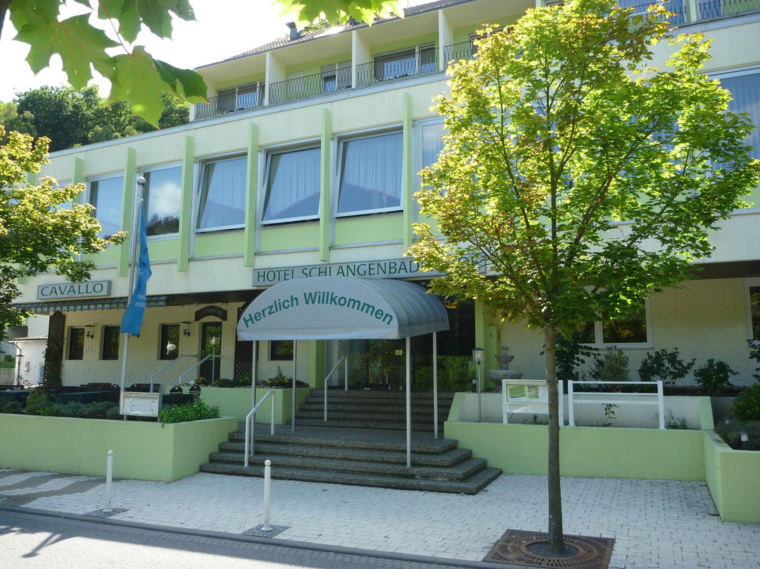 Hotel Schlangenbader Hof